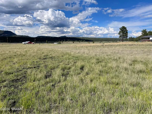 10 County Road 2110, Alpine, AZ 85920