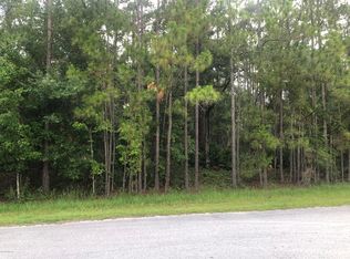 177 Whispering Pines Rd, Georgetown, FL 32139