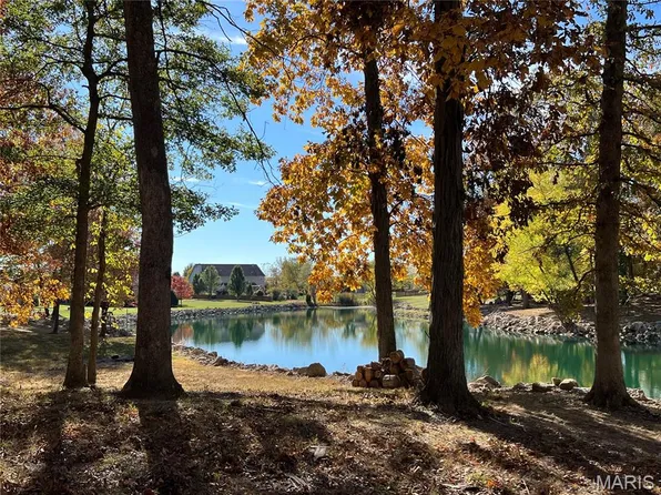 9139 Wiltshire Dr, Columbia, IL 62236