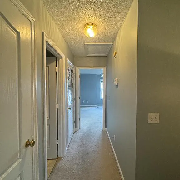 114 Palm Dr — Photo 12
