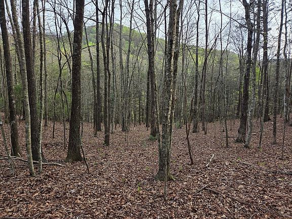 2nd image of LOT 53 Calvender Rd