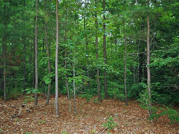 5th image of 6509 Confederate Hill Dr