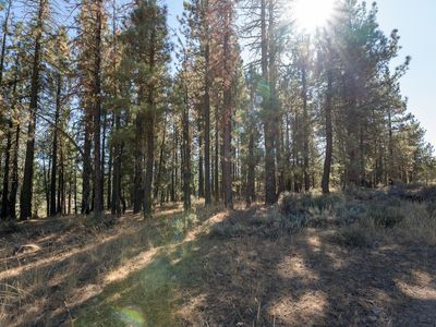 813 2nd St, Portola, CA, 96122