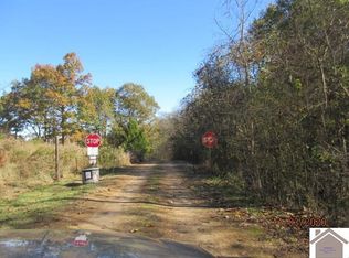 156 Payne Ln, Benton, KY 42025