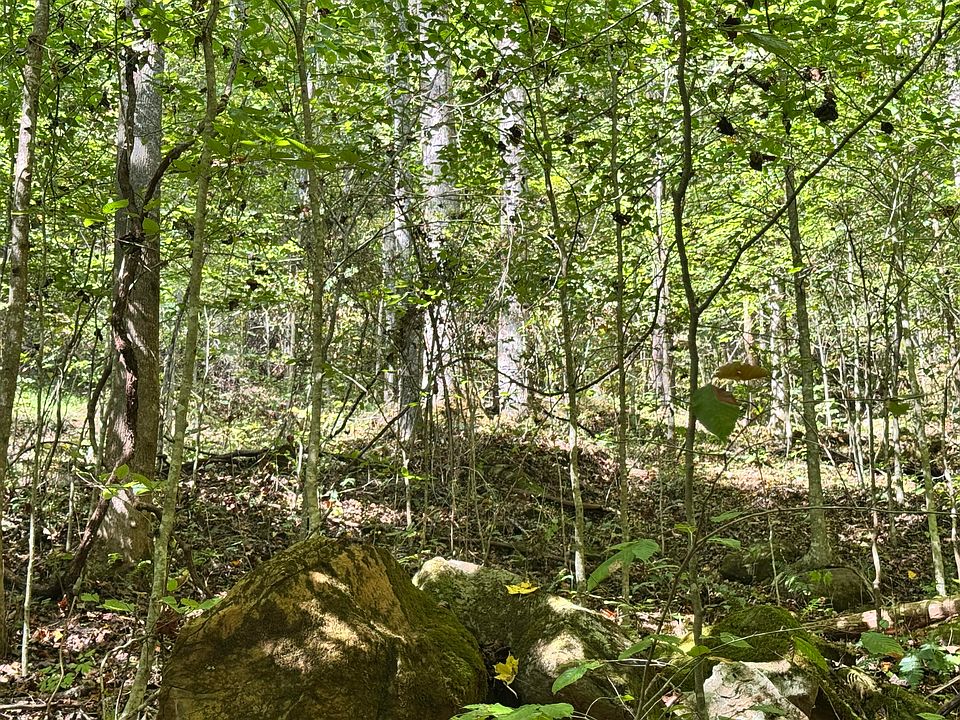 2nd image of 9950 Hector Rd