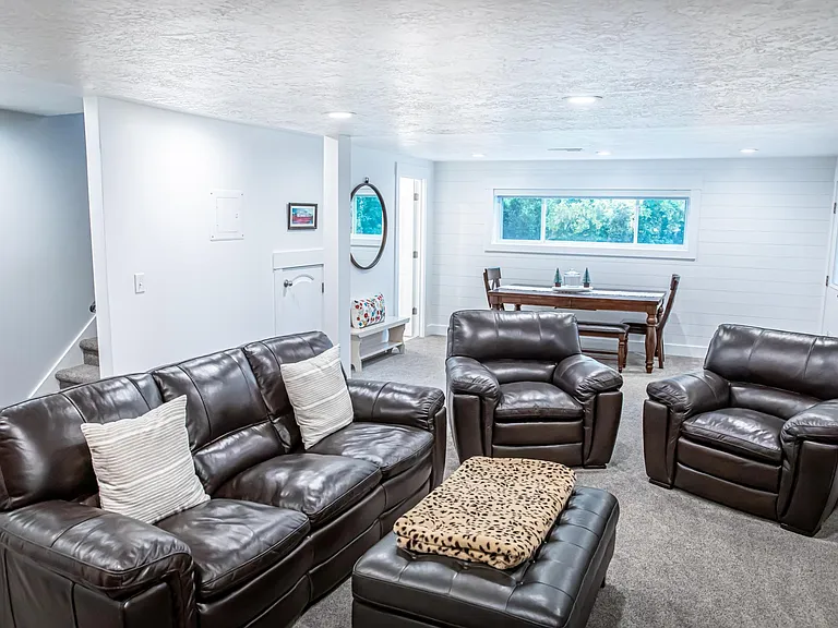 Downstairs Living Room