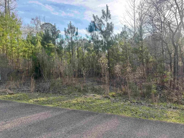 0 Shiloh Falls Ct, Counce, TN 38326