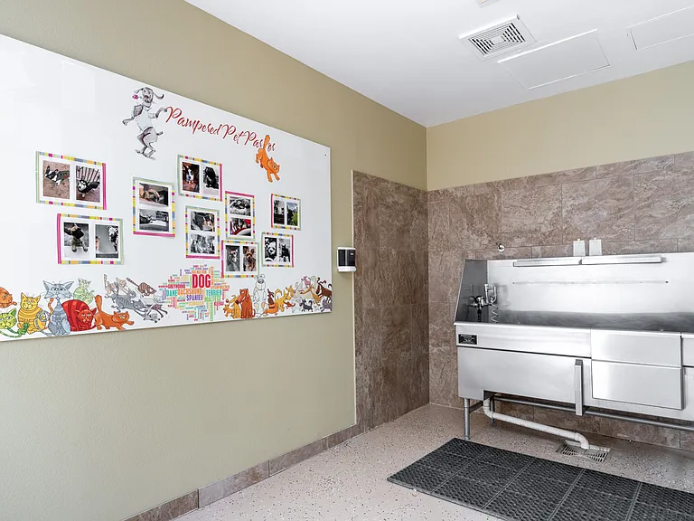Bella Estancias Apartment Homes — Photo 37