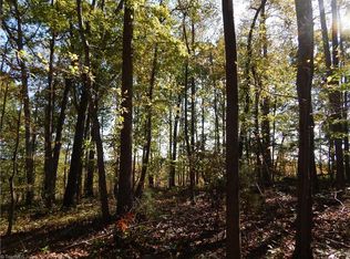 0 Wild Horse Canyon Rd, Snow Camp, NC 27349