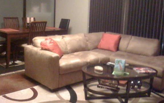 Large living room windows 