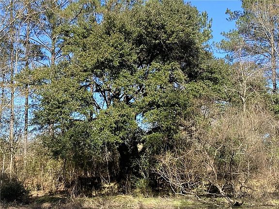 5th image of 12410 Quaglino Rd