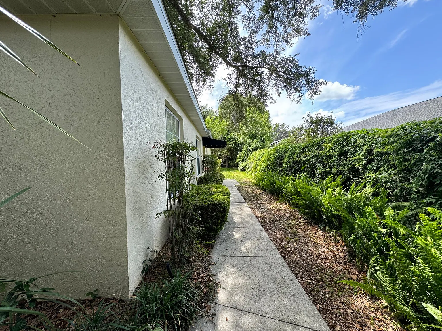 3 bed, 1624 sqft, $1,825 — Photo 3