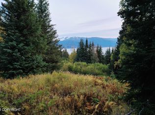48083 Gloria Mae Ct, Homer, AK 99603