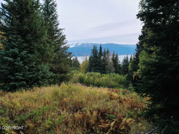 48083 Gloria Mae Ct, Homer, AK 99603