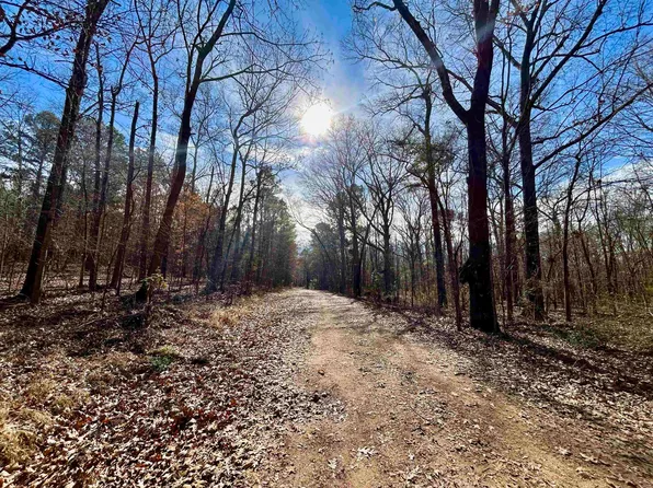 State Highway 323 E, Overton, TX 75684