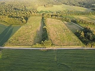 2nd image of High Glory Rd