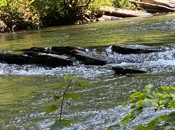 Monitor Dr, Ellijay, GA 30540