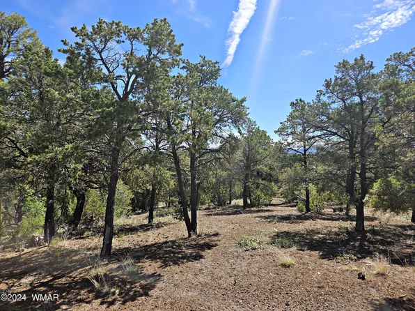 827 County Road 3145, Vernon, AZ 85940