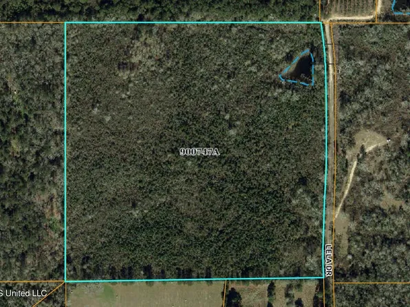 Lela Dr, Magnolia, MS 39652