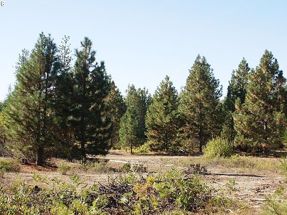 4th image of Cedar Valley Rd