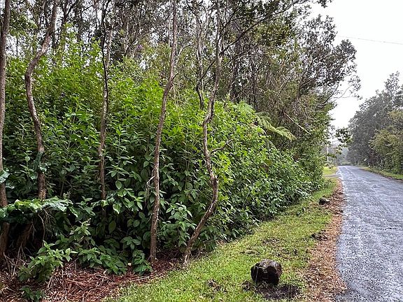 2nd image of Kekoanui St Lot 80