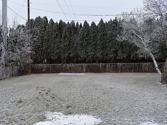 Huge back yard w/ sprinklers
