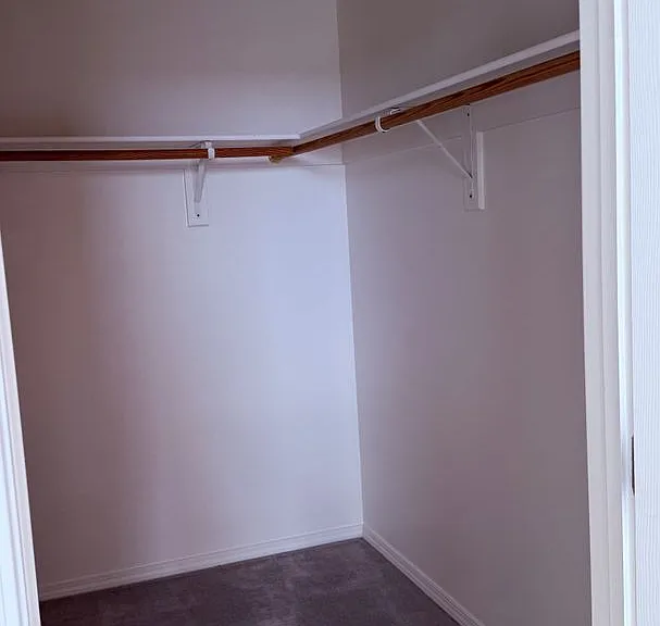 4309 Juniper Hill Ln — Photo 36
