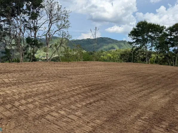 173 Barrio Plata, Aibonito, PR 00705
