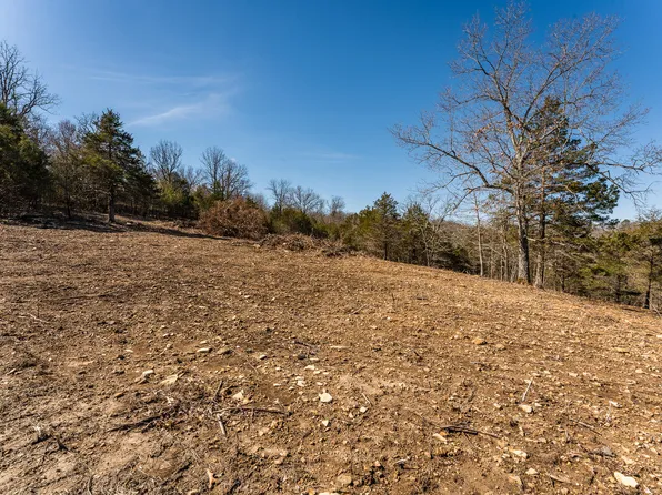 000 Arroyo Street, Forsyth, MO 65653