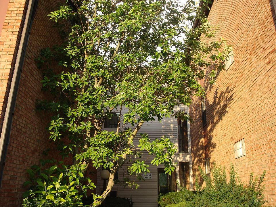 1st image of 4901 Chalet Dr #303
