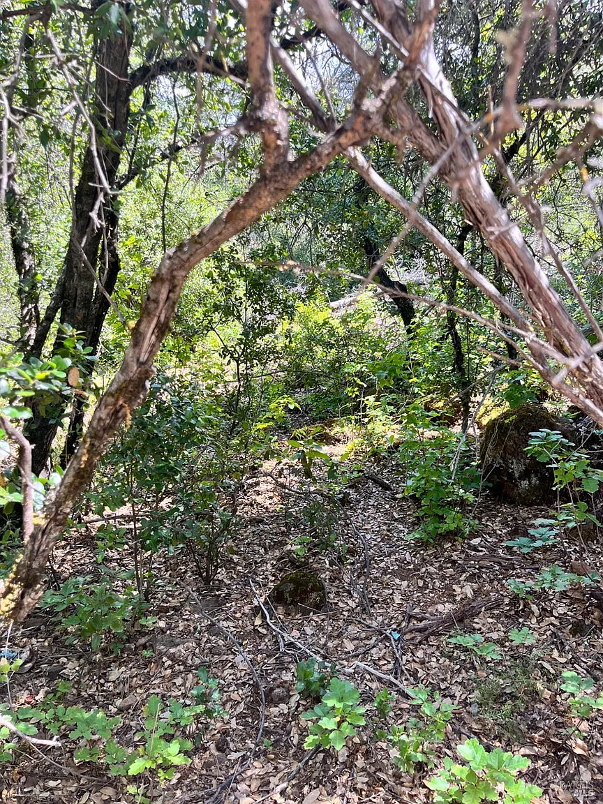 16486 8th Avenue photo 1