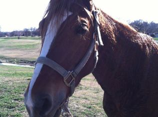 8709 Holly Rd, Alvarado, TX 76009