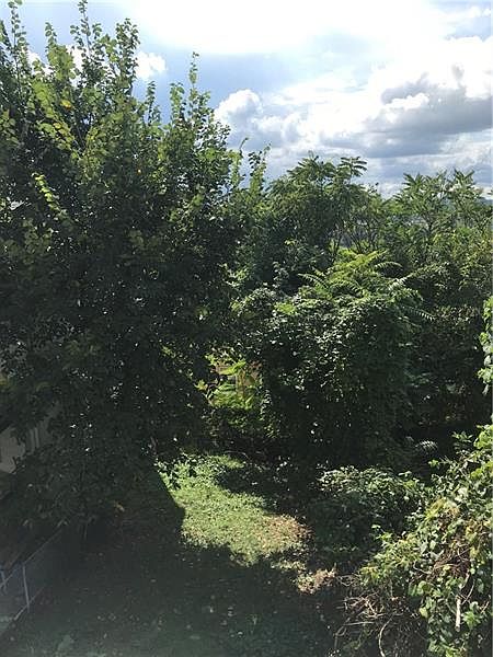 2nd image of 2709 Pitler St