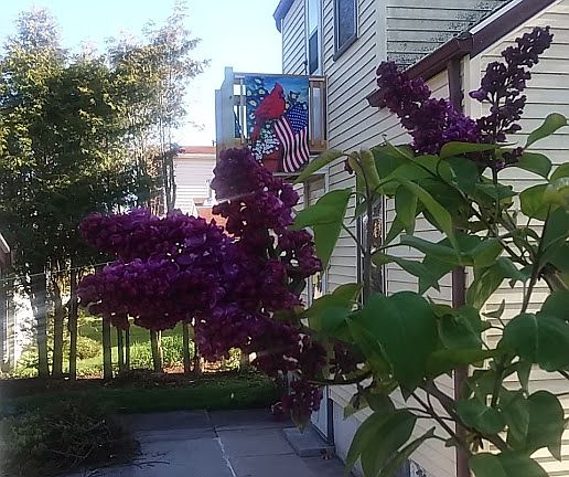 Facing Lake Michigan 