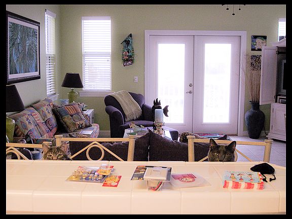 Living room -frm kitchen bar