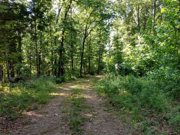 5366 Private Road 5212, Willow Springs, MO 65793