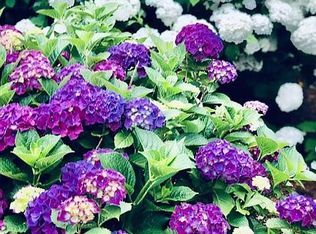 11 Old Mystic Cir, North Falmouth, MA 02556