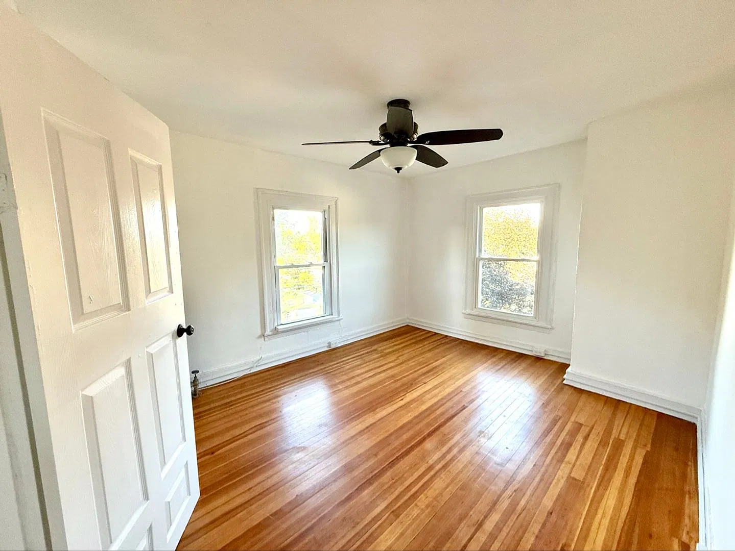 184 Hurley Avenue — Photo 4