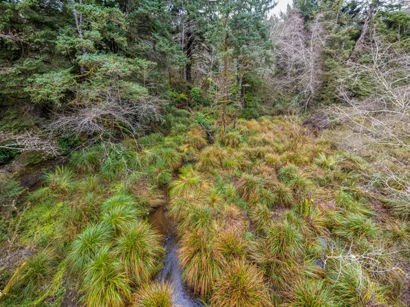 Tl 1000 Ne Oregon St, Yachats, OR 97498