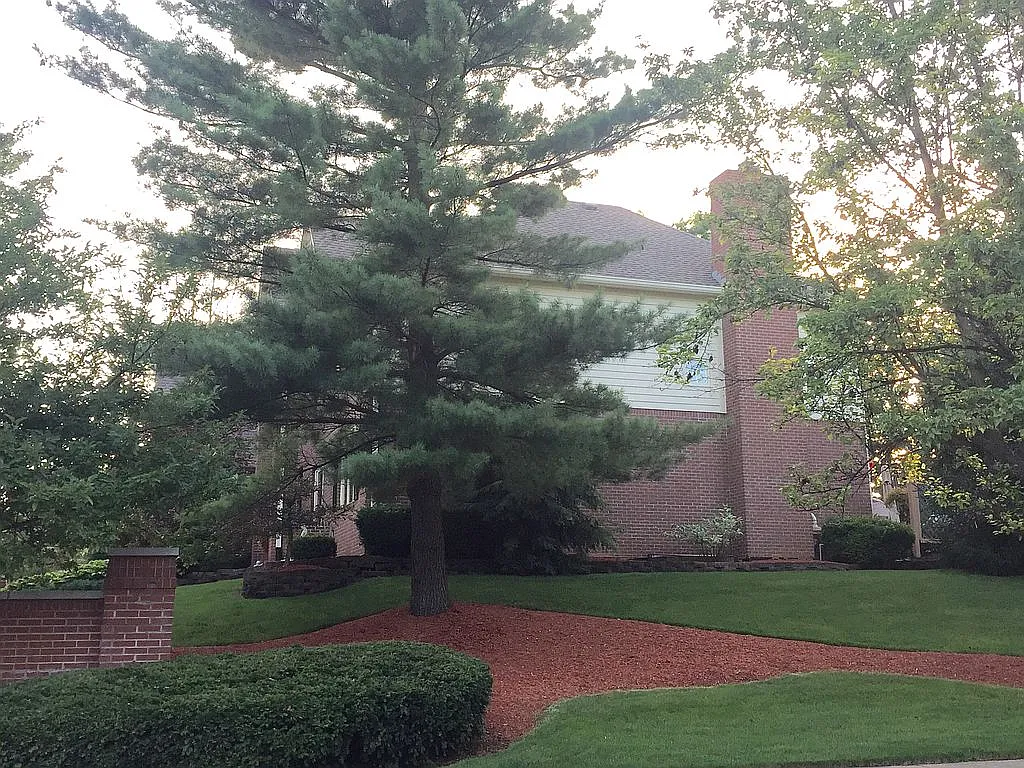 12038 Admirals Pointe Dr photo 1