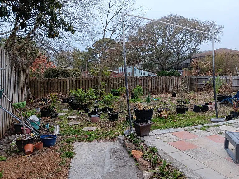 back yard