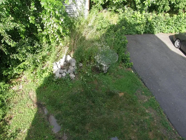 Winchester St — Photo 42