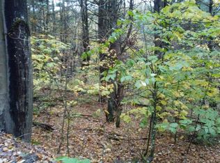 Sherman Hill Rd, Franklin, NY 13775