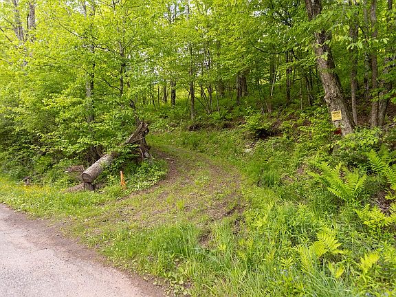 4th image of 1361 Weaver Hollow Rd Lot 4