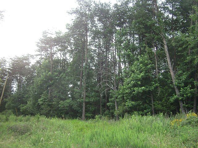 2nd image of 5050 Chestnut Rd