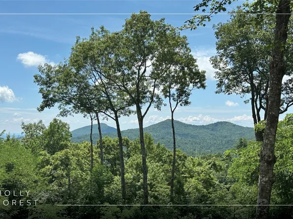 193 Birdnest Road, Sapphire, NC 28774