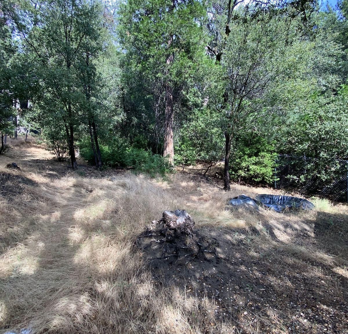 26580 Saunders Meadow Rd, Idyllwild, CA 92549 MLS 2010288 Zillow