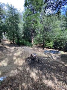26580 Saunders Meadow Rd, Idyllwild, CA, 92549