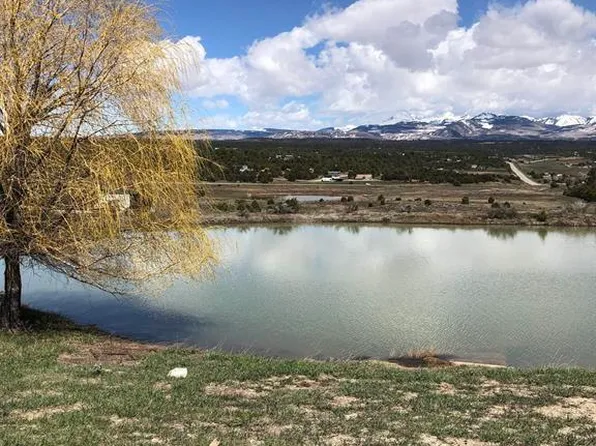 37988 & 38014 Highway 184, Mancos, CO 81328