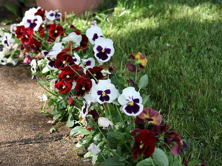 Springtime possibilities